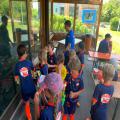 images/Bilder/Jugendfußball_2022/Fotos1/3b0eea31-8d91-4d2a-a737-8c19f57a411a.jpg